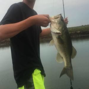 Meet your Posher, Braden